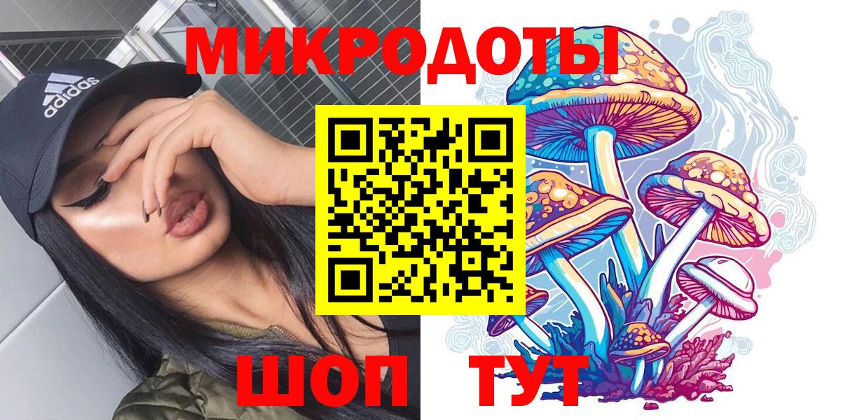Галлюциногенные грибы GOLDEN TEACHER  Вход с VPN  Ахтубинск  продажа наркотиков  Галлюциногенные грибы Magic Shrooms 