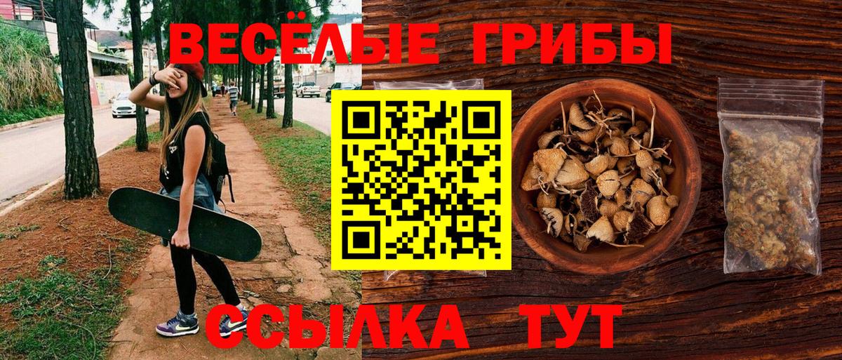 Галлюциногенные грибы MAGIC MUSHROOMS Ахтубинск